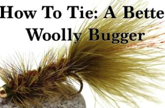 Tying Tuesday: Woolly Buggers, Blue-Wings, and Damsels